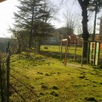 alberi-abbattuti-03
