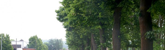 legambientevaltriversa-alberistatale