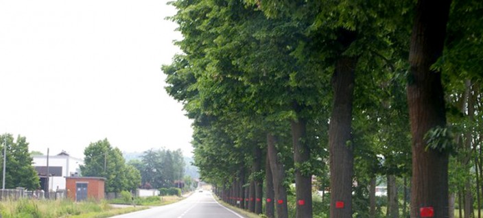 legambientevaltriversa-alberistatale