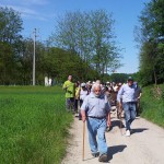 passeggiata-orchidee-2013-2