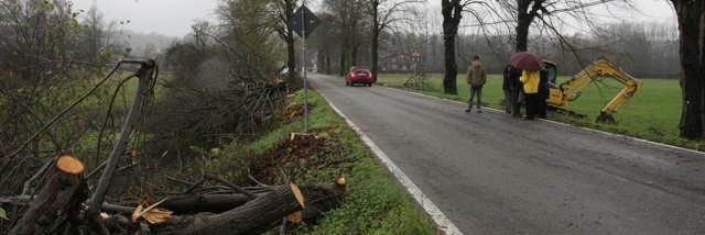 Viale zolfo 20 Novembre 2013