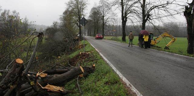 Viale zolfo 20 Novembre 2013