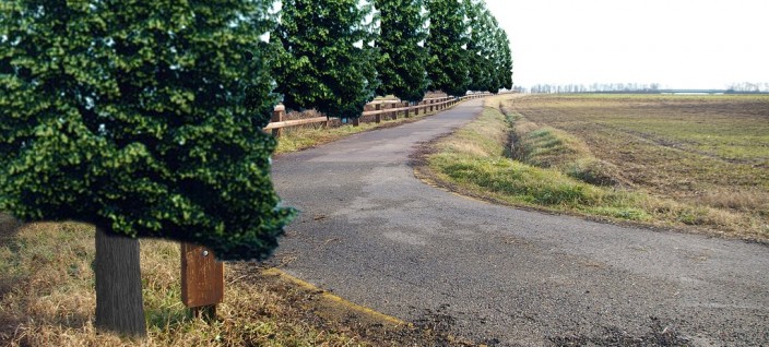 Piantamento di Villanova d'Asti